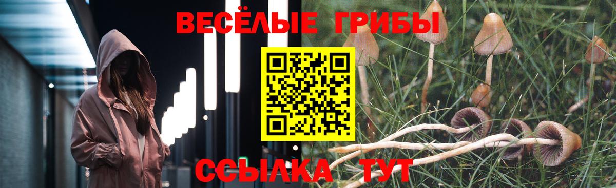Псилоцибиновые грибы мухоморы  Вход с VPN  Галлюциногенные грибы MAGIC MUSHROOMS  Абинск 